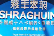 上海手游运营商（上海手游运营商排名）