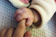 小宝升职记 手游（小宝升职记手游破解版）