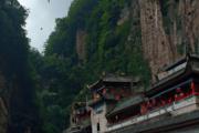命运之旅手游（命运之旅手游下载）