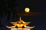 秦时明月手游刷初始（秦时明月手游新手）