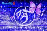 倩女幽魂手游当时明月任务,倩女幽魂手游 当时明月