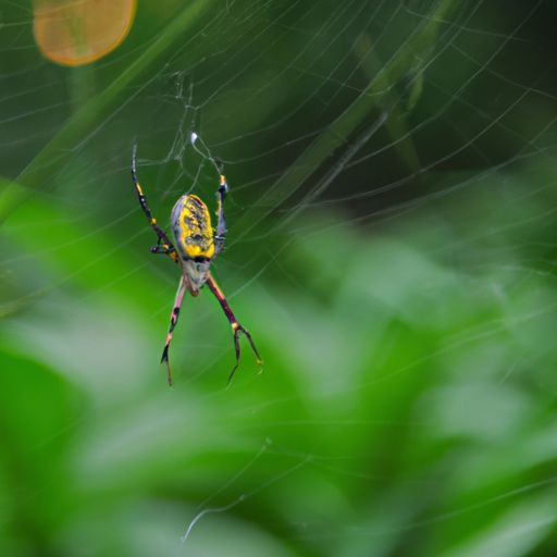 摩奇手游网 摩奇手游网