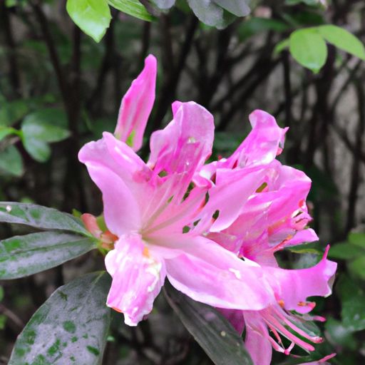 花千骨手游开服表