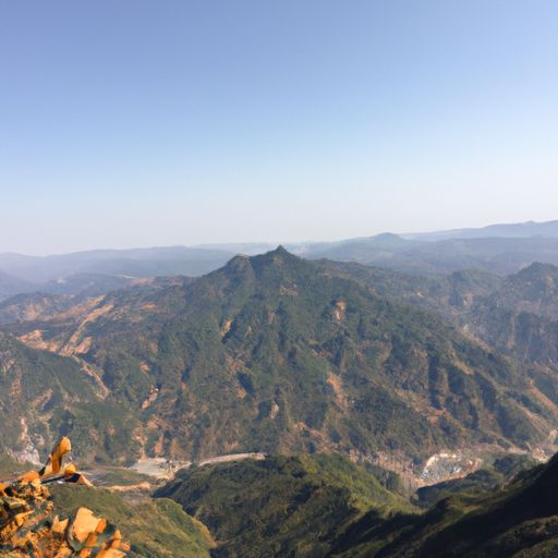 有野外boss的手游 有野外boss的手游