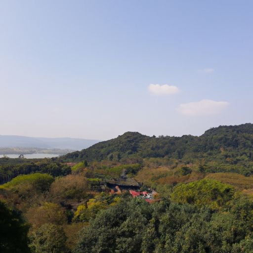 柯南手游 柯南手游