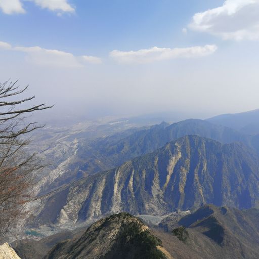 好玩的二次元手游