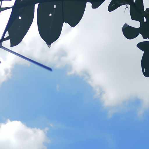 梦想世界手游阴阳