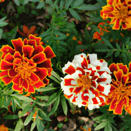 大话西游手游七色花