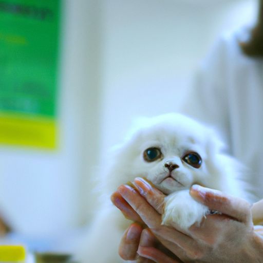 手游凡人修真宠物