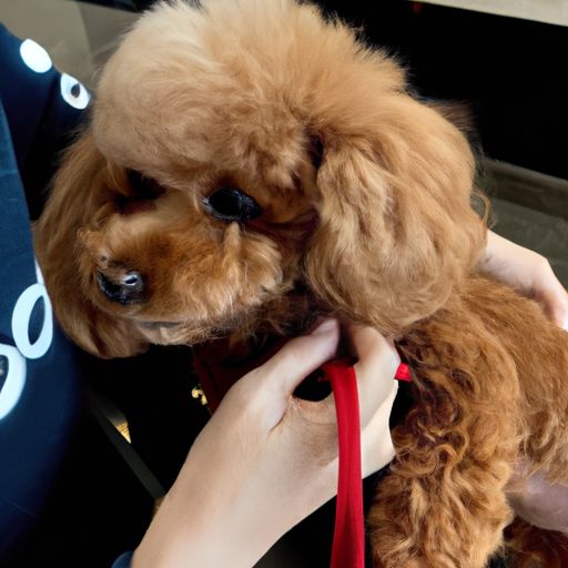 凡人修真手游宠物