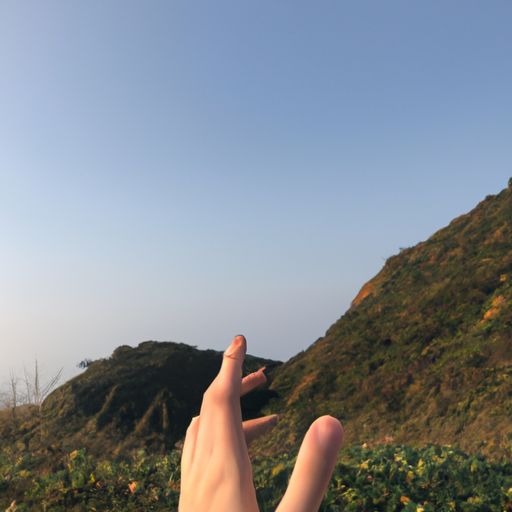 放开那悟空 手游