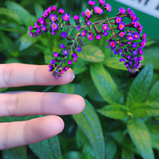 花千骨手游克伐勿欲 花千骨手游克伐勿欲