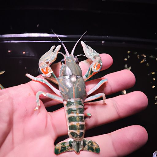 卧虎藏龙手游百度版