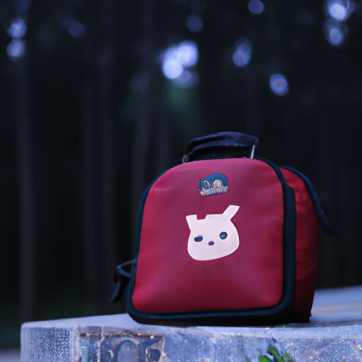 梦幻手游临时背包