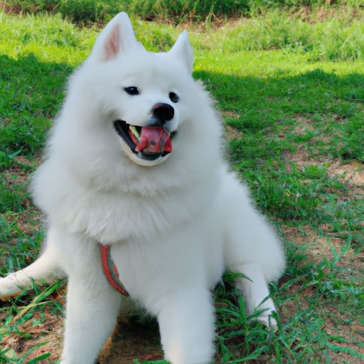 大话手游好玩吗 大话手游好玩吗