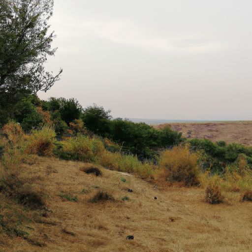 九游莽荒纪手游