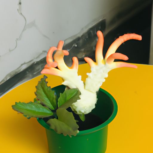 花千骨手游q萌世 花千骨手游q萌世