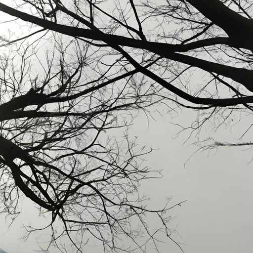 手游疾风之刃连接不上 手游疾风之刃连接不上