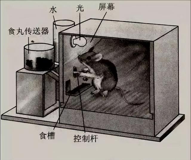 原神这种网游满足了玩家的快感（原神玩家真正的乐趣）