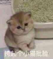 梦幻游戏喝酒,梦幻手游化生