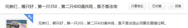 梦幻手游宠物合宠,梦幻西游手游如何合宠才是最好的
