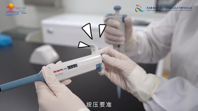 惠玩手游平台官网,惠玩手游平台官网