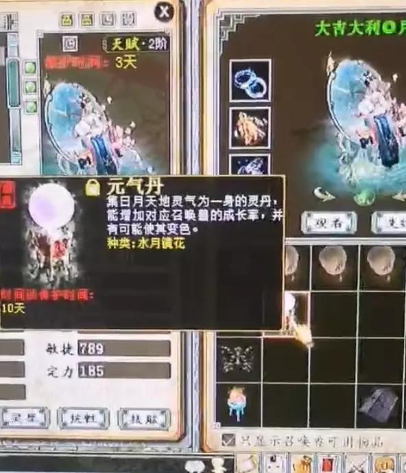 大话西游手游元气丹使用,大话西游元气丹怎么用