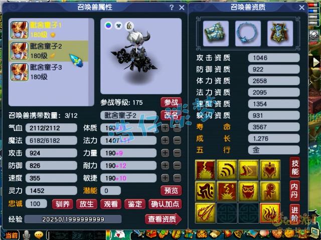 梦幻西游手游大唐宝宝选择哪个,梦幻手游大唐必备宝宝