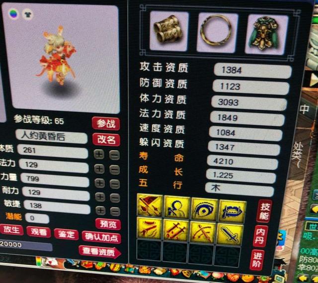 梦幻西游手游版礼包,梦幻礼包怎么领取