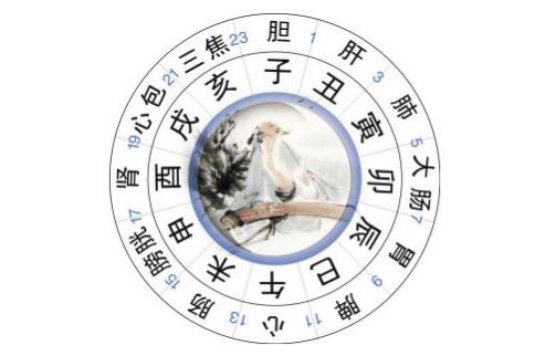 梦幻手游挖宝图技巧攻略,梦幻手游挖宝图技巧攻略