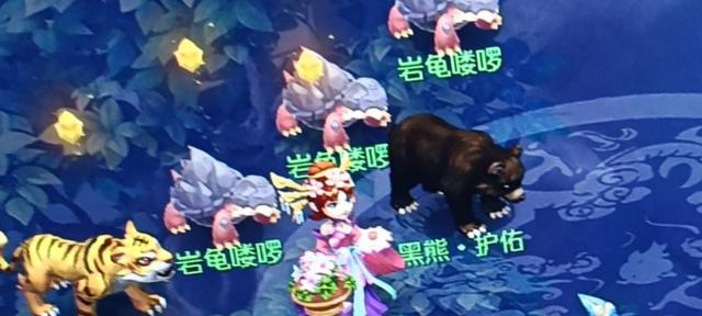 梦幻西游手游 变异,梦幻手游变异宠怎么弄