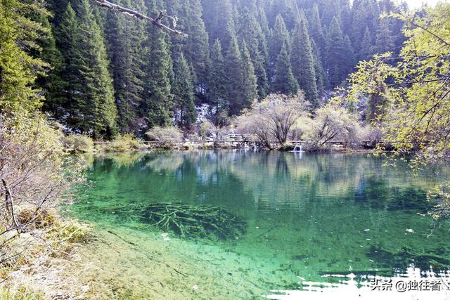 梦幻西游手游瑶池圣地,梦幻瑶池