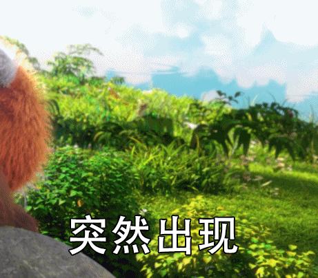 倩女幽魂手游 12套,倩女幽魂手游12-15