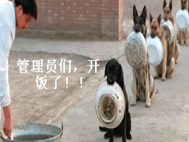 梦幻手游环境度怎么刷,梦幻西游手游环境度要满