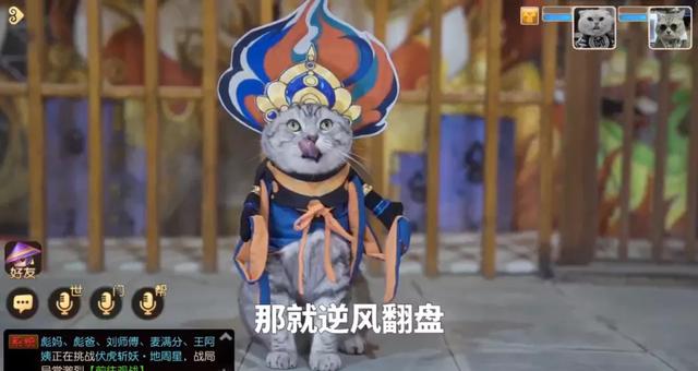 手游梦幻有几个版本啊,梦幻手游现在还是分很多版本吗