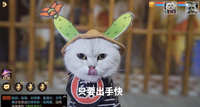 手游梦幻有几个版本啊,梦幻手游现在还是分很多版本吗