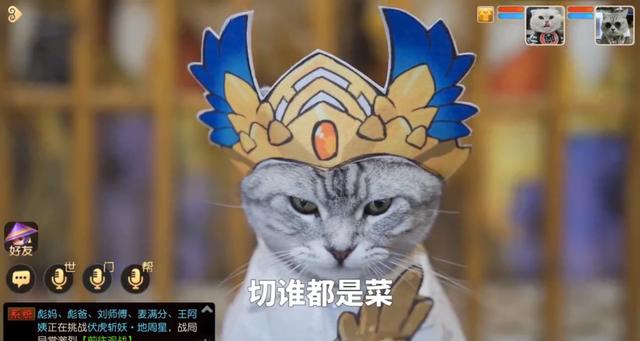 手游梦幻有几个版本啊,梦幻手游现在还是分很多版本吗