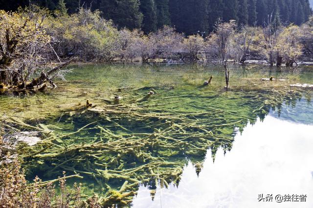 梦幻西游手游瑶池圣地,梦幻瑶池