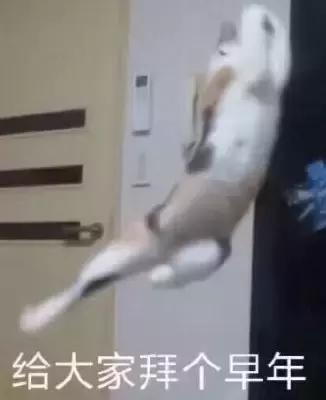 探索冒险类单机手游,手游单机探险类游戏大全
