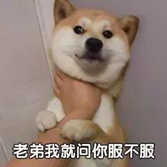 梦幻西游手游 脚本网站推荐,梦幻西游手游 脚本网站